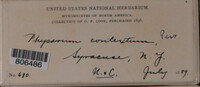 Image Associated With the Occurence